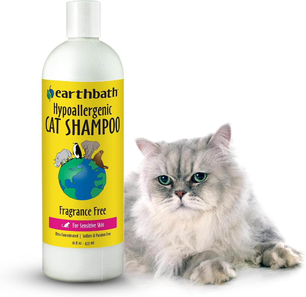 earthbath Hypoallergenic Cat Shampoo, Made in USA
