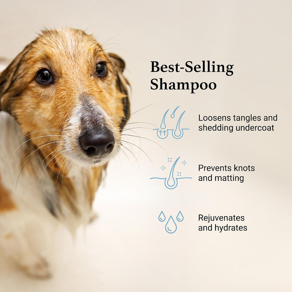 iGroom Deshedding & Detangling Dog Shampoo - 1 GAL - image 3