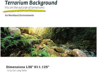 Galápagos Terrarium Background Clings, 11.125" x 36" - Woodland - image 2