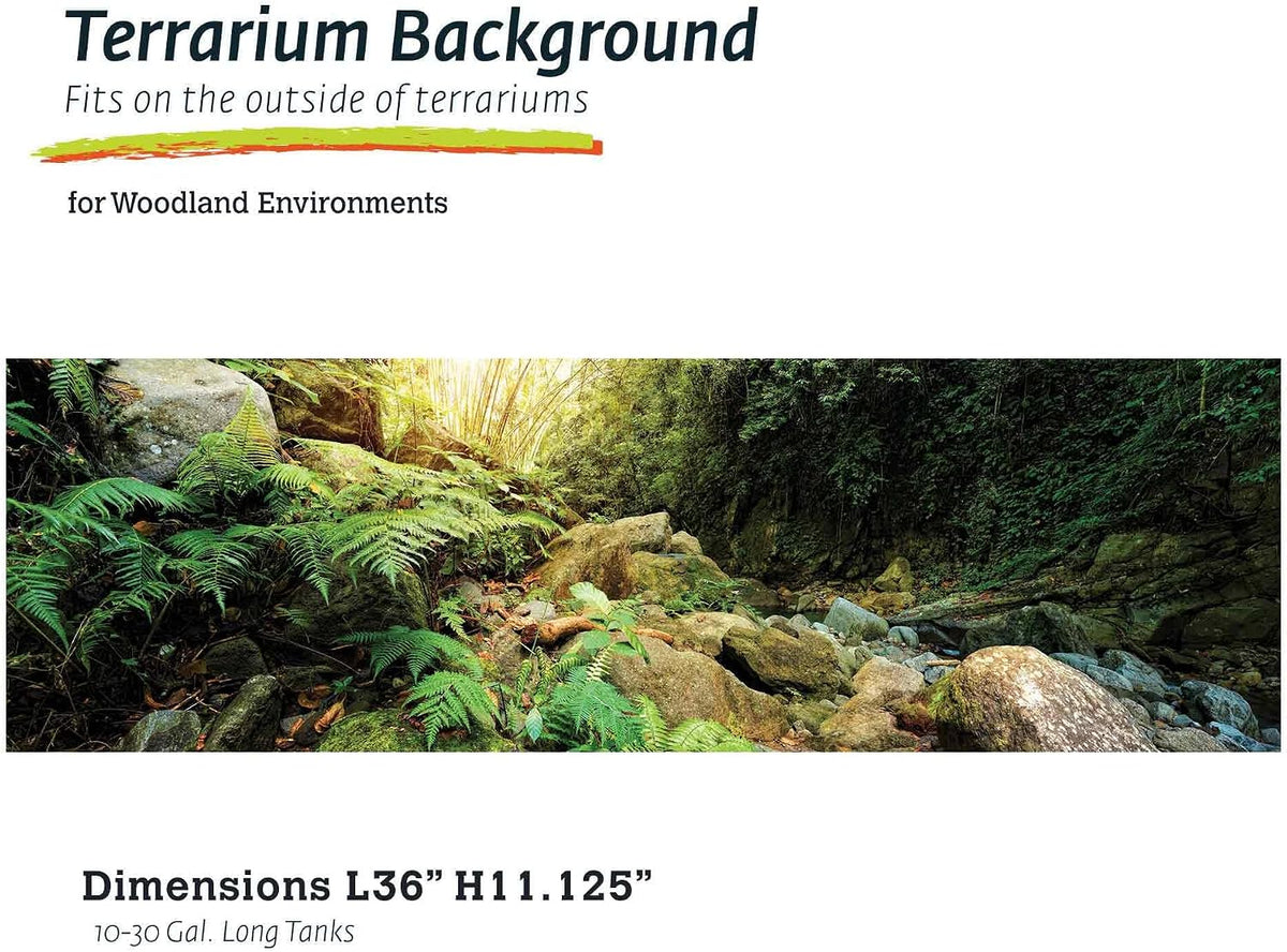 Galápagos Terrarium Background Clings, 11.125" x 36" - Woodland - image 2