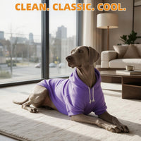 Dog Hoodie for Large Medium Small Dogs - Purple / Small - image 3