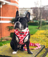 Luxury Red Lips Breathable Mesh Harness Chest Back + Traction - BIG FRENCHIES