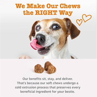 Zesty Paws Probiotics for Dogs, Digestive Enzymes Gut Flora, Digestive Health, Diarrhea & Bowel Support, DE111, Dog Probiotics Soft Chew for Pet Immune System, Chicken, 90 Ct