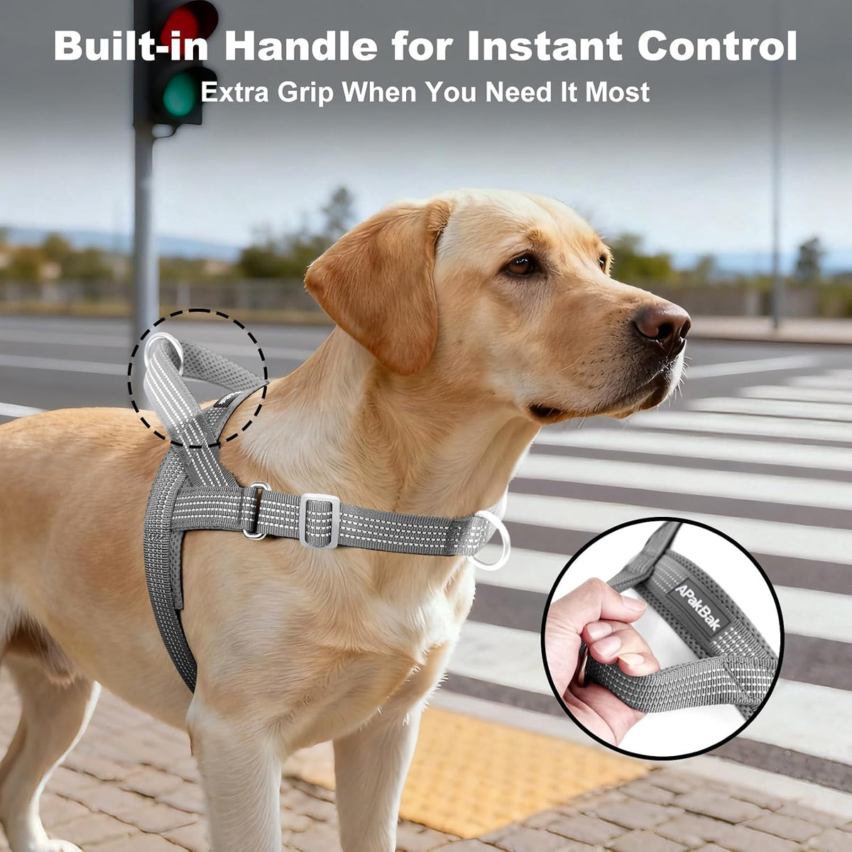 No Pull Dog Harness with Handle - Grey / M - image 3