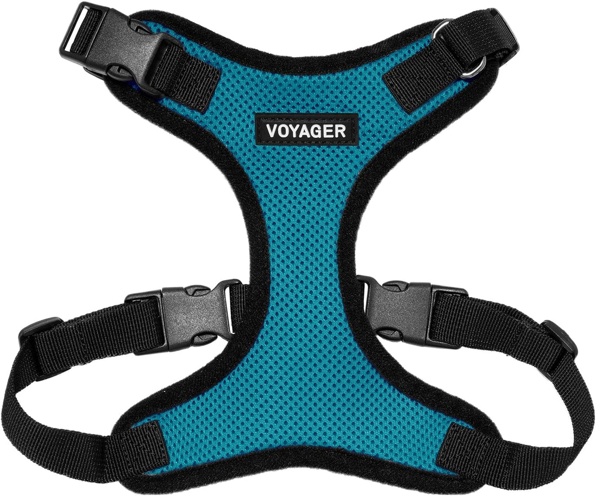 Voyager Step-in Lock Dog Harness, Pink - Harness (Turquoise/Black Trim) / XL (Chest: 23 - 28")