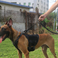 Tactical Dog Leash with Quick-Release Metal Clasp - 4 FT / Reflective Black - image 2