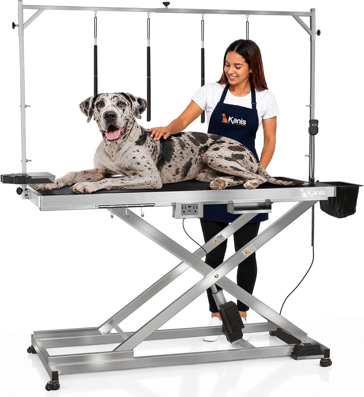 Professional Electric Dog Grooming Table, Heavy Duty - STAINLESS STEEL / 60"