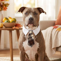 ADOGGYGO Fall Dog Neck Tie - Medium / Mocha - image 3
