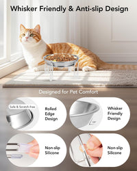 Elevated cat Bowl 2PC, 6.3" Wide Raised Cat Bowl – Essentials for Cats - 3PC - image 3