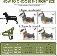 SlowTon No Pull Dog Harness and Leash Set, Heavy Duty - Green / Medium - image 3