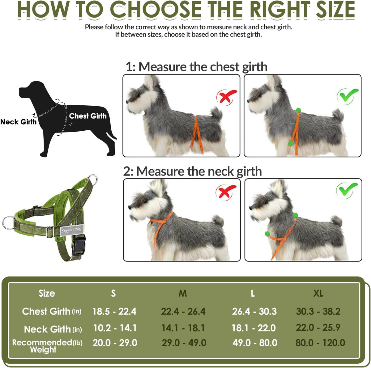 SlowTon No Pull Dog Harness and Leash Set, Heavy Duty - Green / Medium - image 3