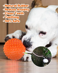 Pweituoet 4.5” Heavy Duty Squeaky Dog Balls for Medium Large Dogs - 4.5" - image 3