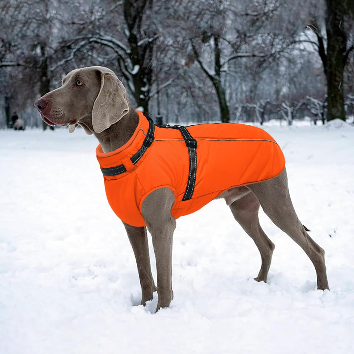Dog Coat for Large Dogs Waterproof Dog Jacket with Harness Built in – Essentials for Dogs - Large / Orange - image 3