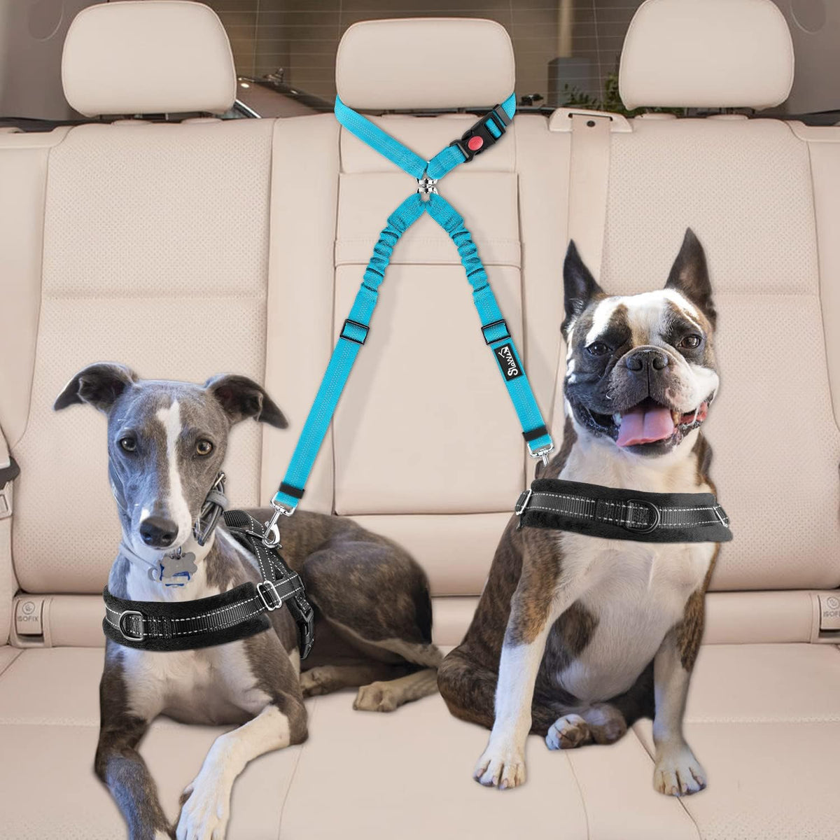 Lukovee Double Dog Car Seat Belt, No Tangle Headrest Restraint – Essentials for Dogs - Light Blue / 1 Pack - image 4