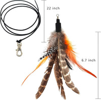 miwoowim 12 Pack Cat Wand Toy Refills with Bells - 6 Feather Refills - image 4
