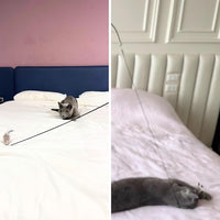 Feather Toys Replacements (3 Pc) - Cat Toys & Kitten Toys for Indoor Kittens, Set of Replacement Feather Attachments Extra Small and Durable, for Cat Wands, Natural and Safe