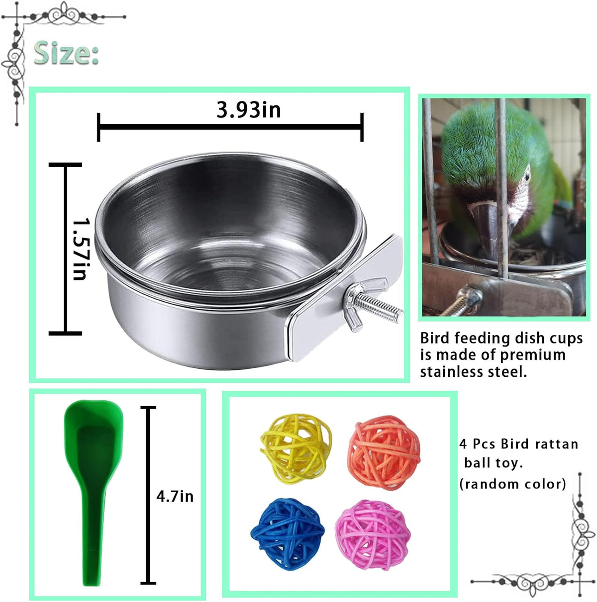 Parrot Feeding Dish Cups,Stainless Steel Bird Food Water Bowl Parakeet Feeder Birds Cage Ball Toys - 【2 PCS】 / 【S:3.9x1.6 Inches】 - image 3