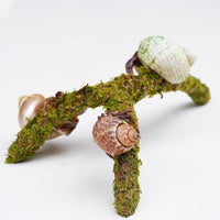 Hermit Crab Climbing Toys, Adjustable Hermit Crab Supplies - image 2
