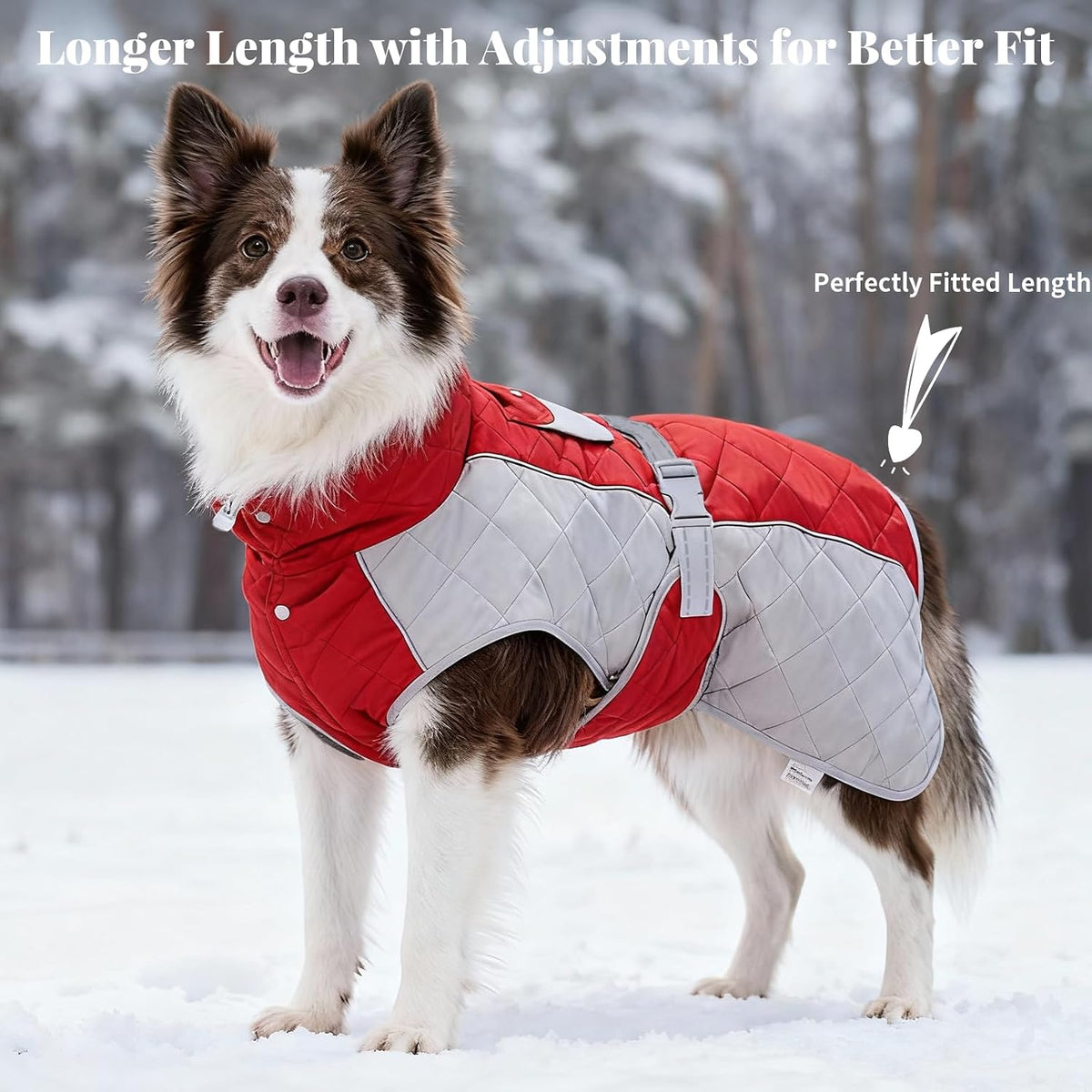 Dog Coat Dogs Jacket Waterproof Reflective Adjustable Dog-Winter - Red / X-Small(chest 17~20in) - image 2