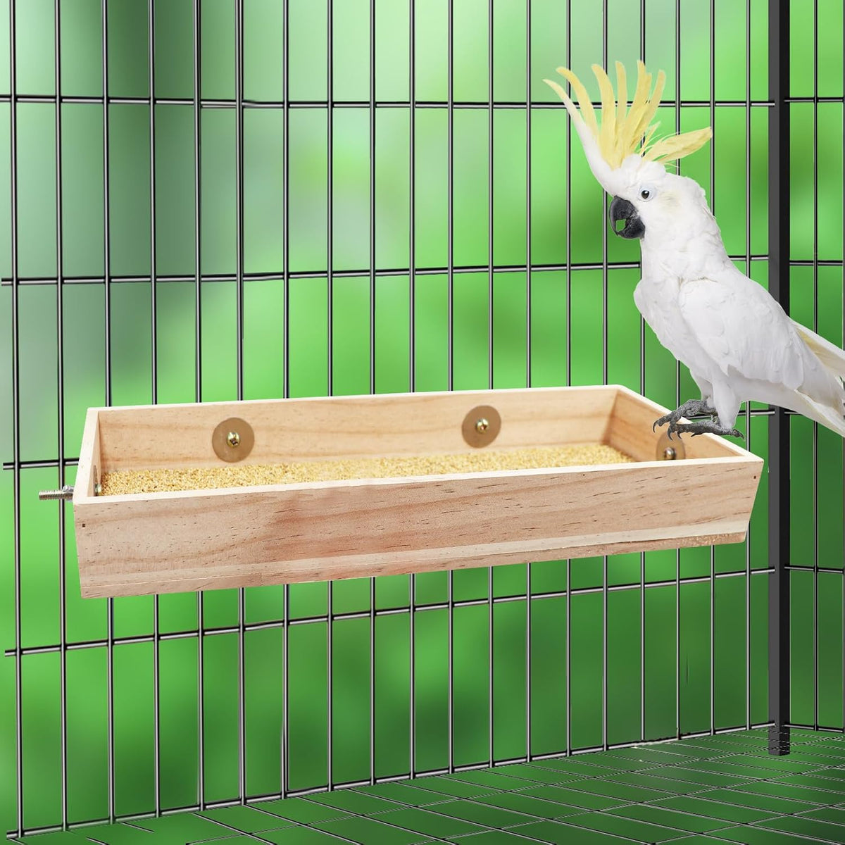 Bird Feeding Cups, Natural Wooden Parrot Perch Stand - 15.7 × 5.9 Inch - image 3