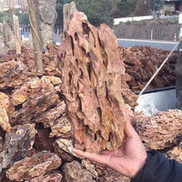 Natural Dragon Rock Carefully Selected Mixed Sizes, Decorative Aquarium Rocks, Aquarium Stones for Fish Tank (10lb-Extra Large)