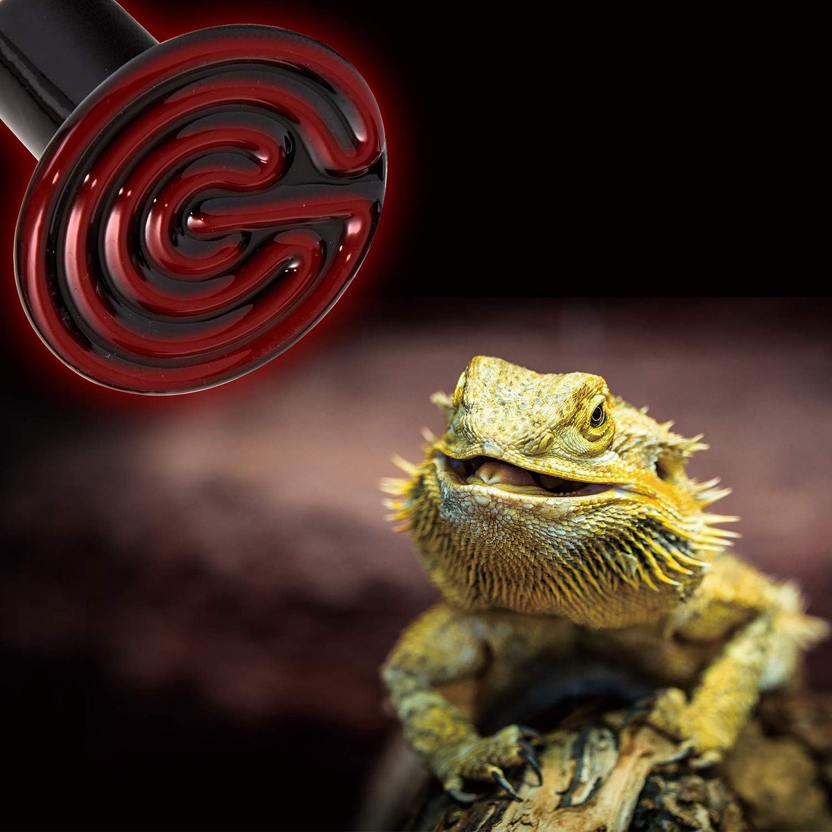REPTI ZOO Reptile Ceramic Infrared Heat Emitter - 1 Count (Pack of 2) - image 2