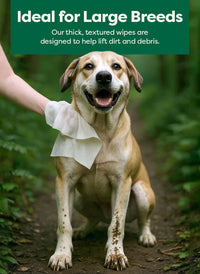 Earth Rated Dog Wipes for Paws & Butt, Deodorizing - Unscented / 60 XL Grooming Wipes - image 4