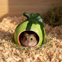 Hypeety Ceramic Hamster Hideout Decor Cool Bed Bath House - Green/Watermelon - image 3
