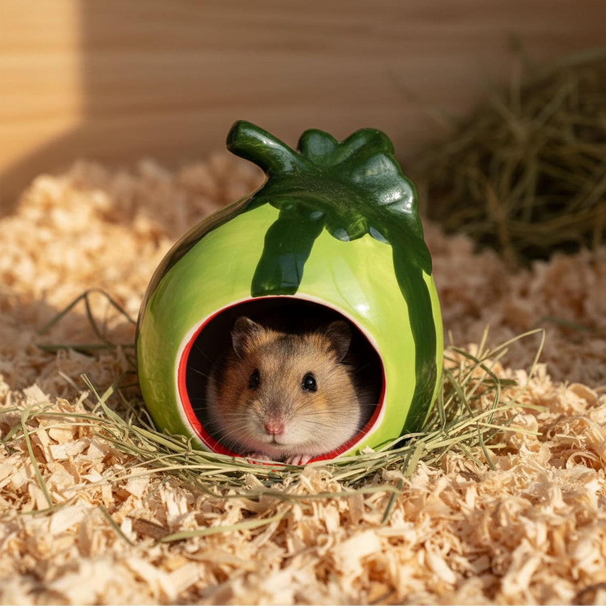 Hypeety Ceramic Hamster Hideout Decor Cool Bed Bath House - Green/Watermelon - image 3