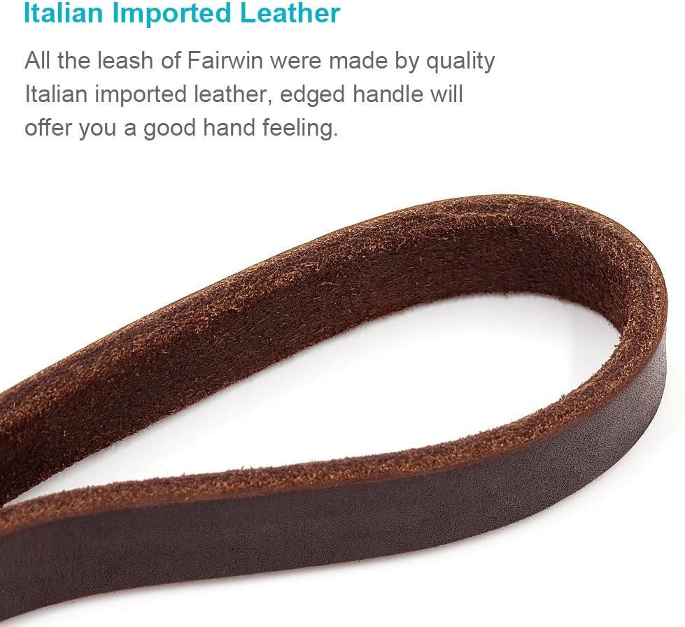 Braided Leather Dog Training Leash 6 Foot - M - 6 ft x 5/8 inch / Reddish Brown - image 3