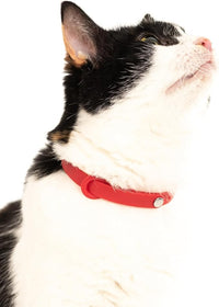 Cat Collar 2 Pack - Soft, Comfortable, and Lightweight Safety Breakaway Collar with Name Tag Ring for Outdoor Cats and Sensitive Skin Kittens by Nuvuq (6 ⅞" to 10 ¼", Red)