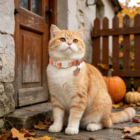 ARING PET 2 Pack Cat Collar-Cute Cotton Cat Collar Breakaway - Fall White & Orange - image 3