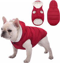 Dog Winter Coat,Warm Fleece Lined Dog Jacket with Leash Hole & Hood – Essentials for Dogs - Red / Large