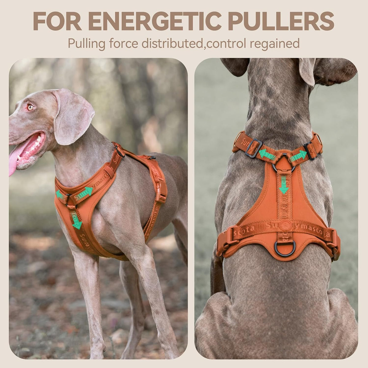 Sunraymascota Dog Harness - S (Neck: 12-22", Chest: 16-25") / Carmel Brown - image 2