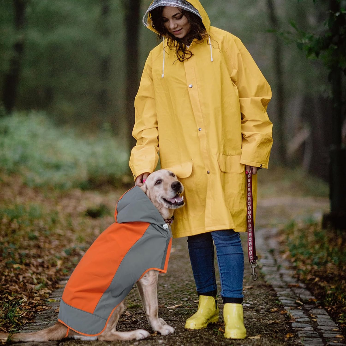 Hooded Dog Raincoat, Reflective Large Dog Rain Poncho - Medium / Orange - image 2