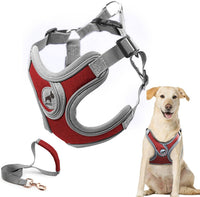 Dog Harness with Leash Set, No Pull Adjustable Step in Pet Vest – Essentials for Dogs - Red / L