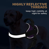 Haapaw Essential Dog Harness - XL / Purple - image 3