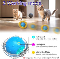 Interactive Cat Toys Ball Fast Rolling in Pouch, Motion Activate Chirping Cat Toy Hide and Seek Mouse Catching Game (Blue)