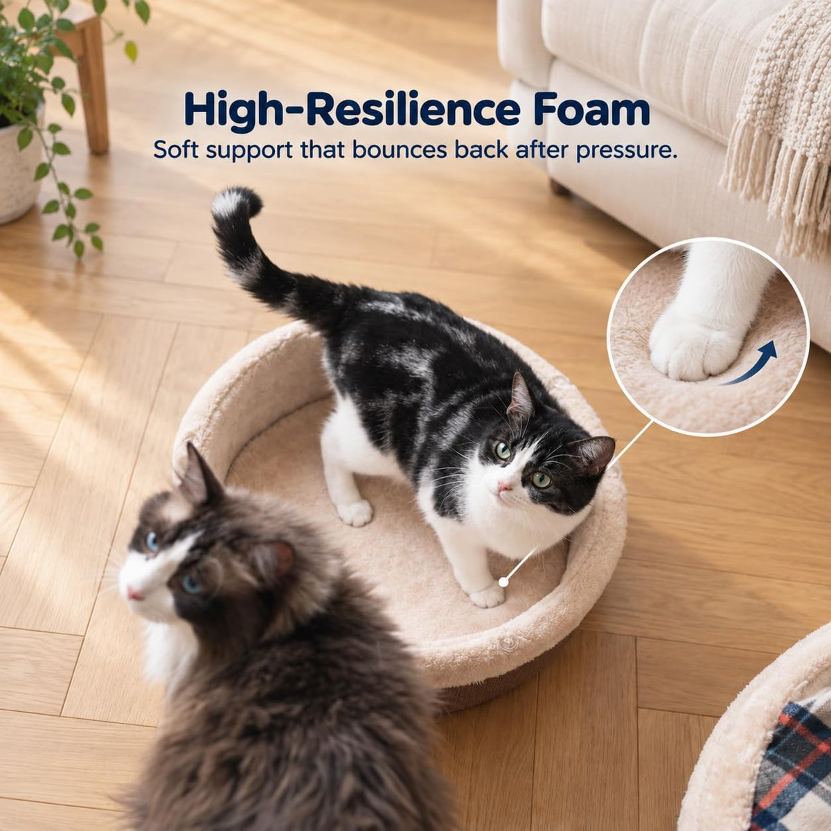 Cat Bed Cave, Enclosed Hideaway with Detachable Lid for Kitten - Brown - image 4