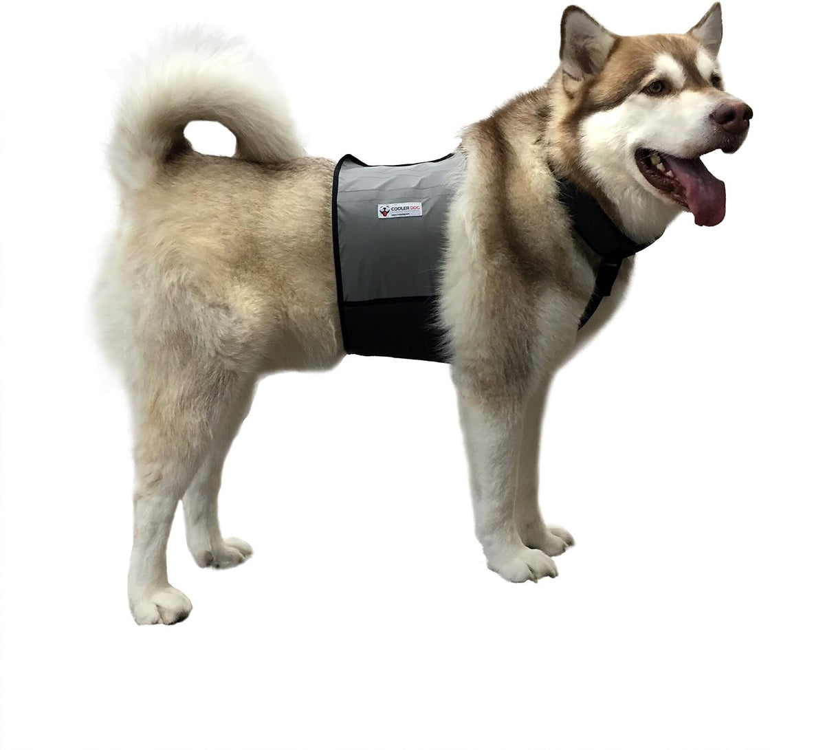 CoolerDog Dog Cooling Vest & Cooling Collar - L