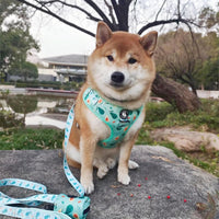 Dog Cat Harness and Leash Set - Avocado / S (Neck 10.6"-13"; Chest 14"-19.6") - image 3