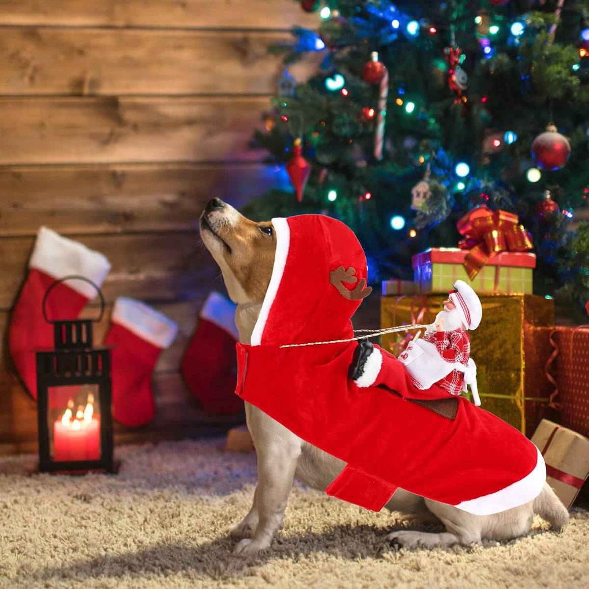 Santa Dog Costume, Dog Christmas Outfit, Riding Pet Costume - Chef Santa Claus / M(Neck:11.8-15" Chest:18.1-22.4") - image 4