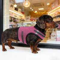 Mini Dachshund Harness, No Armpit Rub, Escape Proof, Reflective - Rose Red / XS: Chest 25-31cm (10"-12") - image 3