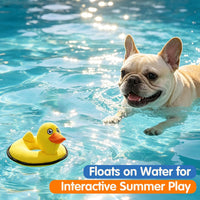Floating Duck Dog Toy, Squeaky Water Pool Toy for Small Medium Dogs – Essentials for Dogs - Duck - image 4