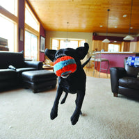 Chuckit! Indoor Fetch Ball Dog Toy, Orange and Blue - Orange & Blue Squirrel / 4.7 inches (12 Pack) - image 4