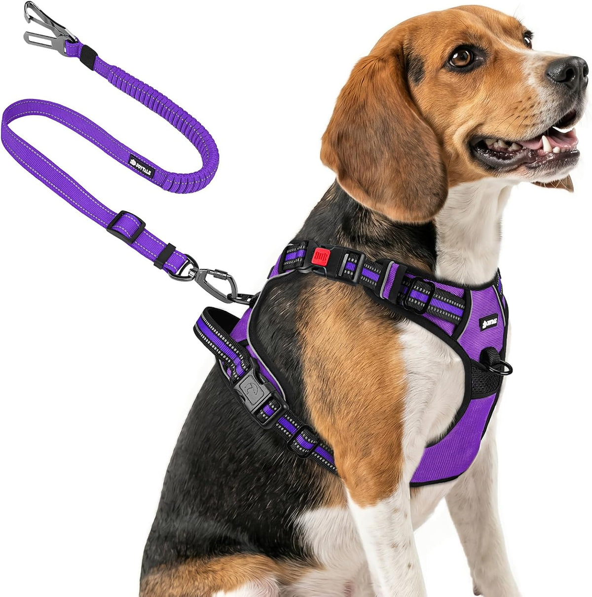 Joytale No Pull Dog Harness & Seat Belt, Easy On 3-Buckle, L - Purple / Medium