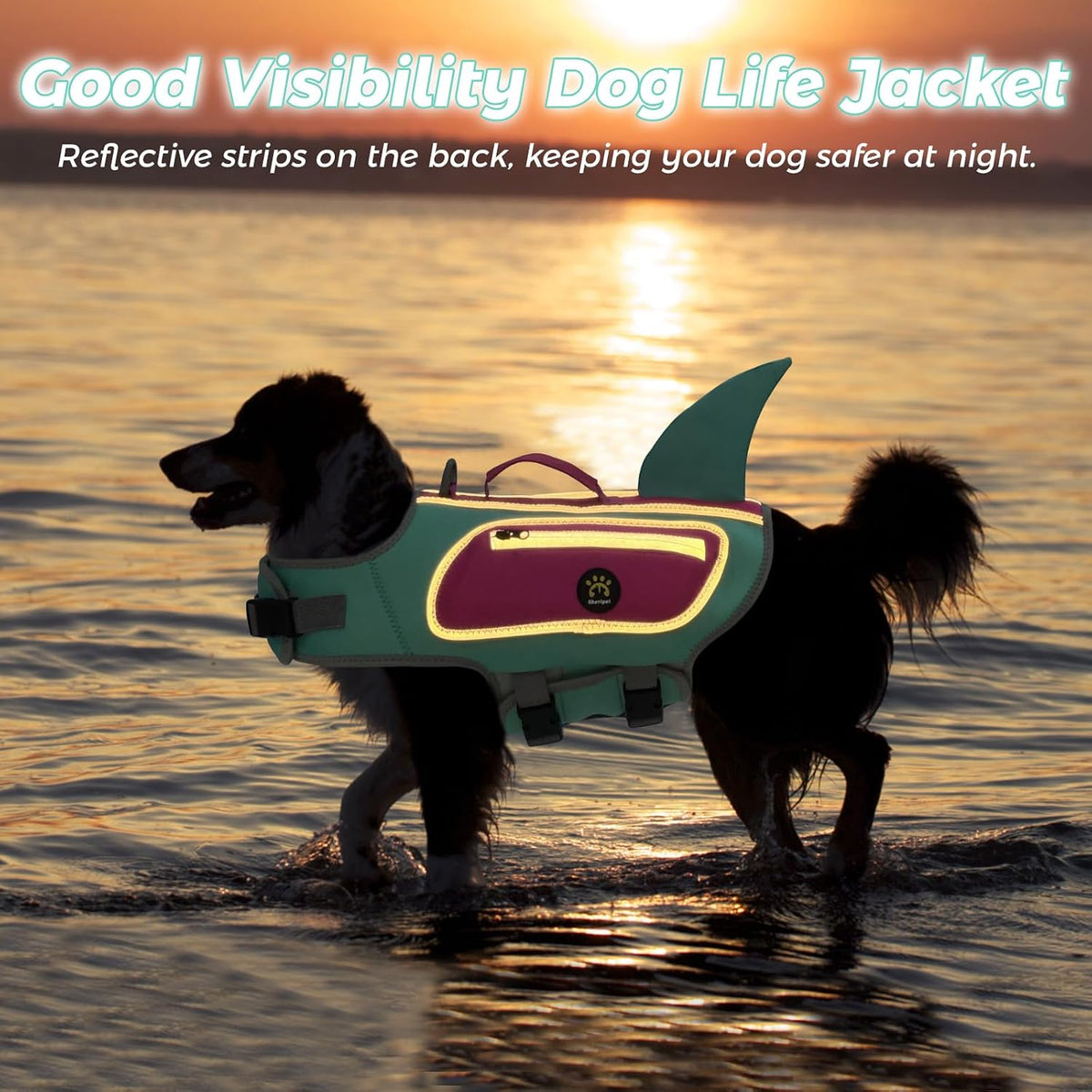 Dog Life Vests for Boating and Swimming, Dog Life Jacket – Essentials for Dogs - Turquoise / Large - image 4