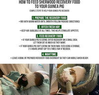 Sherwood Pet Health Guinea Pig Emergency Kit (Small) with Timothy Recovery Food and Appetite Restore in Stay-Fresh Packets