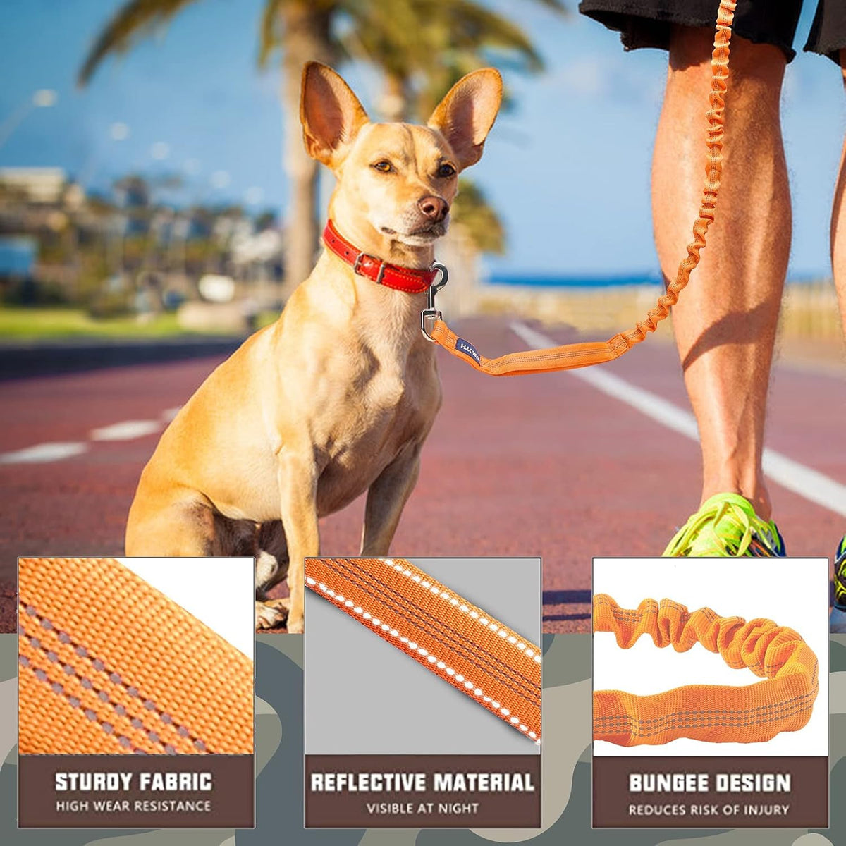 AUROTH Bungee Dog Leash for Large Dogs - Orange / MAX: 6 FT - image 2