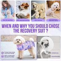 Lukovee Recovery Suit for Dogs, Zipper On Recovery Suit for Female Male Dog, Onesie Abdominal Wounds Cone E-Collar Alternative Prevent Licking Spay Recovery Suit (Small, Purple Tie-dye)